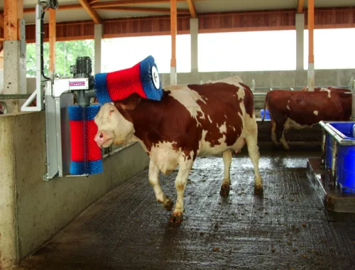 Alsó pótkefe HappyCow Duo szarvasmarhatisztító géphez