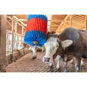 Kefe HappyCow Midiswinghez