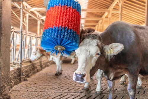 Kefe HappyCow Midiswinghez