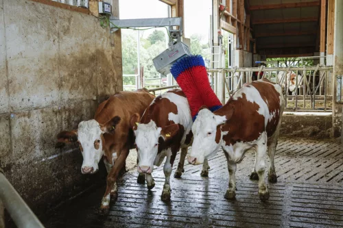 HappyCow MaxiSwing elektromos tisztítókefe