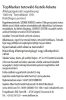 TopMarker tetováló festék - fekete, 1 liter