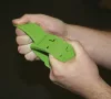 Bokacsat tartós jelöléshez - zöld
