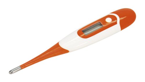 Digitális hőmérő - flexibilis szondával