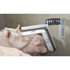 Vakarókefe sertéseknek - komplett