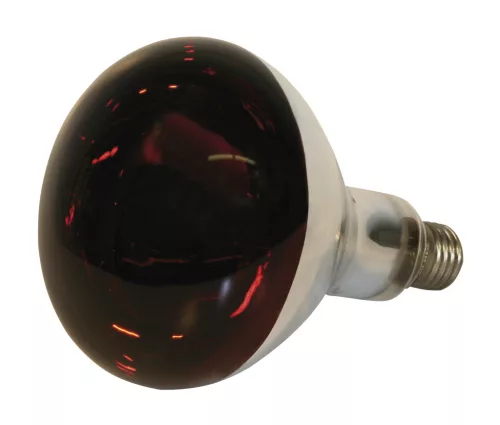 KERBL infraizzó - 150 Watt, piros