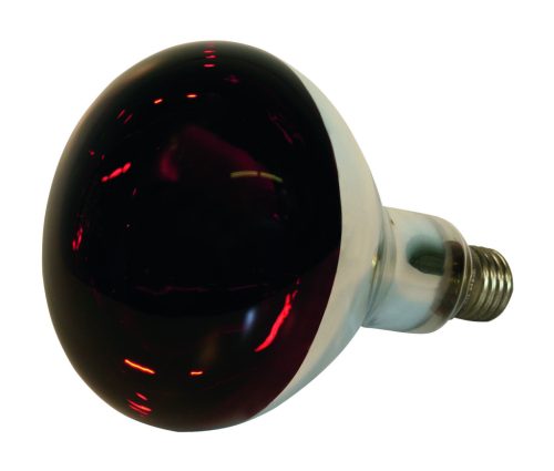 KERBL infraizzó - 250 Watt, piros