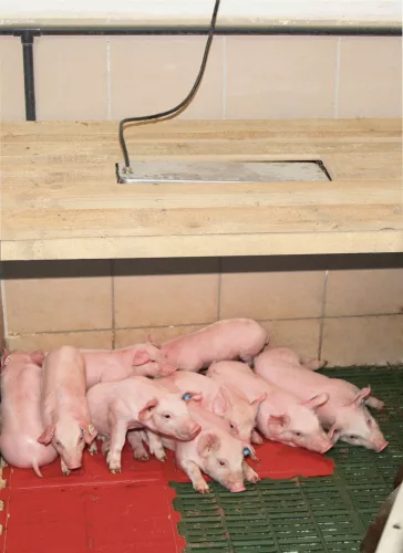 SunnyBoy hősugárzó - 150 W