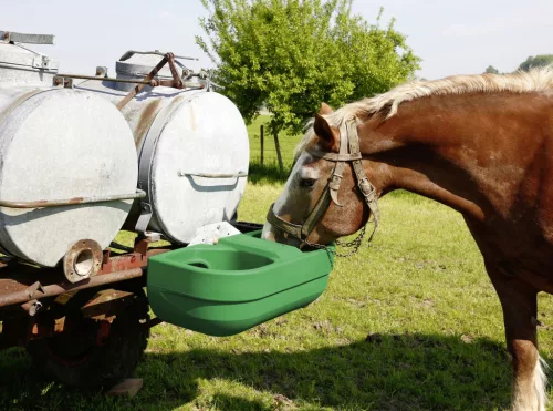 S60 Dupla úszószelepes itató - 58 literes, 3/4"
