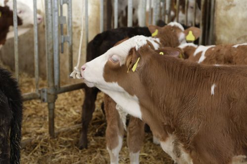 Játszókötél - 8 mm x 250 m, pamut