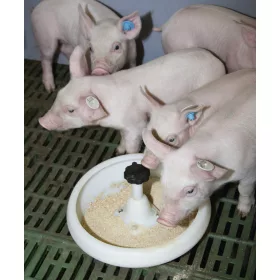   Malacetető tál - 2,5 literes, műanyag, padozatra szerelhető, J-kampóval