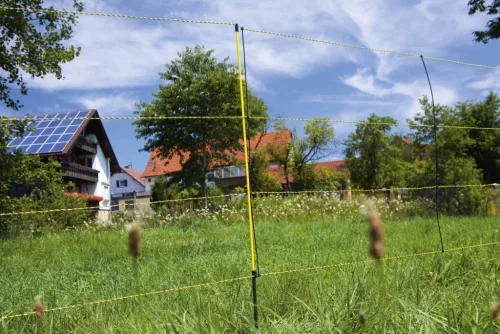 AKO EasyNet villanypásztor juhháló - 50 m x 105 cm