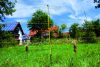 AKO EasyNet villanypásztor juhháló - 50 m x 105 cm