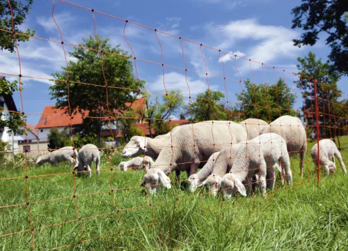 AKO OviNet juhháló - narancssárga, 50 m x 108 cm, dupla leszúró tüskével