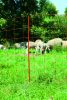 AKO OviNet juhháló - narancssárga, 50 m x 108 cm, dupla leszúró tüskével