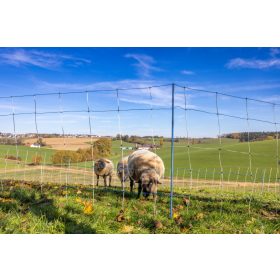   AKO Titan Light Premium juhháló - 90 cm, 50 m, kék/fehér, dupla leszúrós