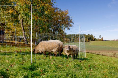 AKO OviNet 170 juhháló - 170 cm, 25 m, dupla leszúrós