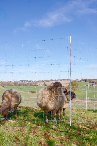 AKO OviNet 170 juhháló - 170 cm, 25 m, dupla leszúrós