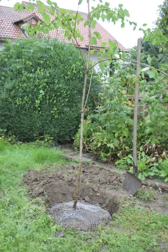 Pocok fogó kosár, kicsi 35 cm