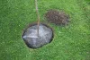 Gyökér védő háló, nagy, 60 cm, nem horganyzott