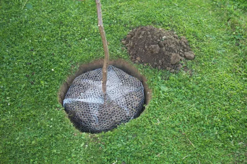 Gyökér védő háló, nagy, 60 cm, nem horganyzott
