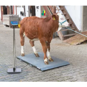 PS2000 állatmérleg - max. 1000 kg-ig