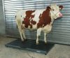 PS3000 állatmérleg - max. 1500 kg-ig