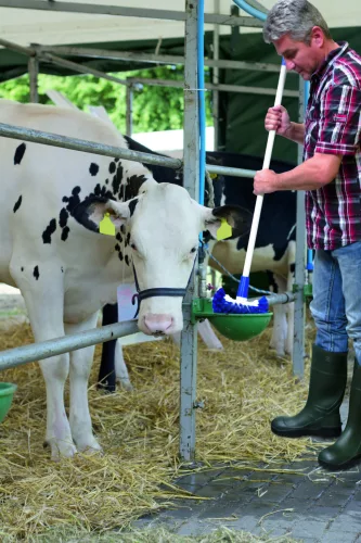 Univerzális tartálykefe - kék, nyél nélkül