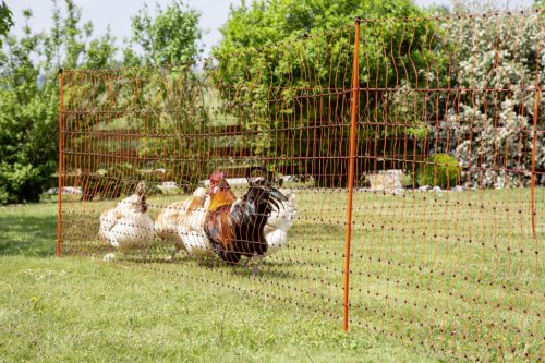 AKO PoultryNet villanypásztor baromfiháló - narancssárga, 50 m x 106 cm, dupla leszúrótüskével