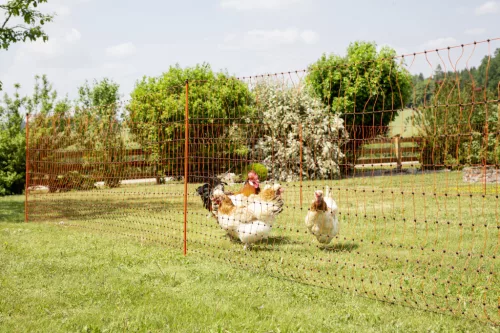 AKO PoultryNet villanypásztor baromfiháló - narancssárga, 50 m x 106 cm, dupla leszúrótüskével