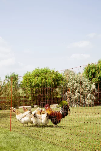 AKO PoultryNet villanypásztor baromfiháló - narancssárga, 50 m x 106 cm, dupla leszúrótüskével