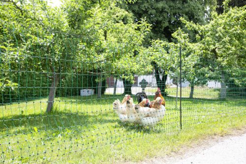 AKO PoultryNet feszültség alá helyezhető baromfiháló - zöld, 50 m x 106 cm, dupla leszúró tüskével