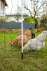 AKO PoultryNet Maxi baromfiháló - 170 cm, 25 m, zöld, dupla leszúrós