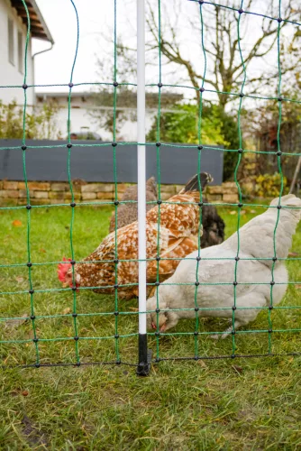 AKO PoultryNet Maxi baromfiháló - 170 cm, 25 m, zöld, dupla leszúrós