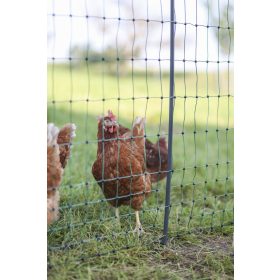   AKO Premium baromfiháló - 50 m, duplaleszúrós, elektromos