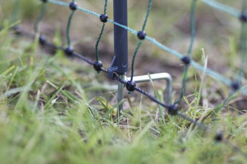 AKO Premium baromfiháló - 50 m, duplaleszúrós, elektromos