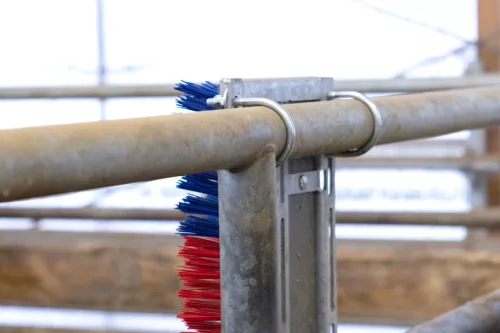 HappyCow Bully szarvasmarha vakaró - falra szerelhető