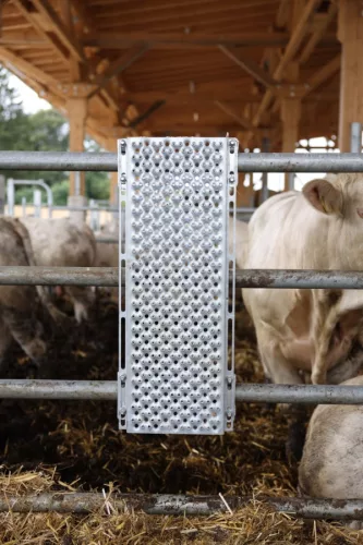 Kaparólap szarvarmarhának - 90 x 30 cm