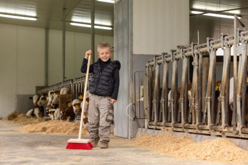 Mini udvari kefe nyéllel