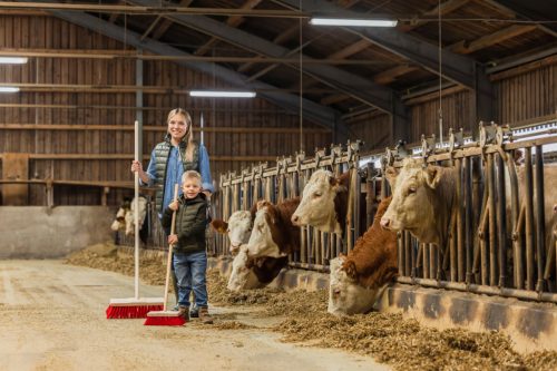 Mini udvari kefe nyéllel