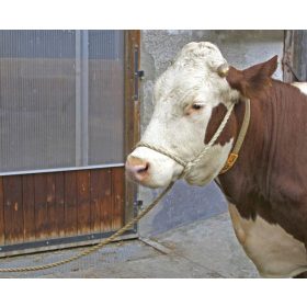   Relax borjúvezető kötél - 5 m, 16 mm, 10 cm-es hurokkal, extra erős