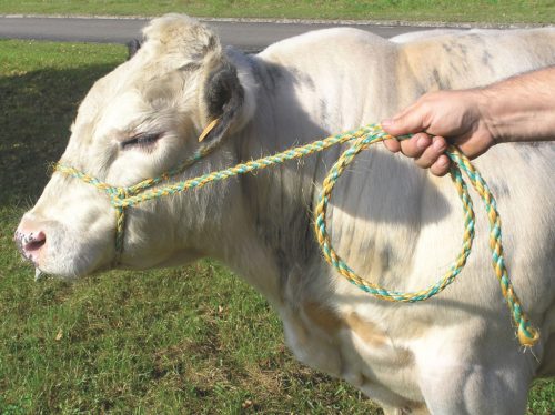Szarvasmarha vezető kötél - szizálkender, 16 mm, 4 m