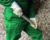 Rico munkavédelmi kesztyű - 11/XXL méret