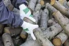 Eco-Wood téli kesztyű - 10-es méret