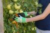THINKGREEN gyermekkesztyű - latex borítással, 8-10 év