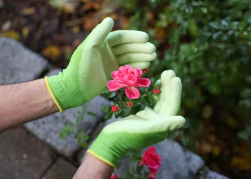 Easy Garden kesztyű - zöld, PU bevonattal, 6