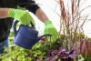Easy Garden kesztyű - zöld, PU bevonattal, 7