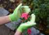 Easy Garden kesztyű - zöld, PU bevonattal, 7