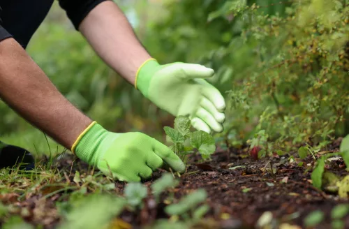 Easy Garden kesztyű - zöld, PU bevonattal, 9