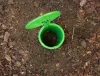 SnailBowl csigacsapda
