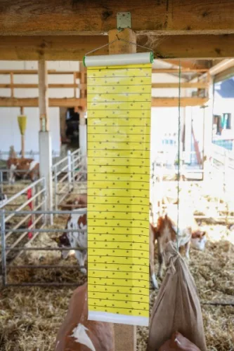 Légyirtó tekercs - 7 m